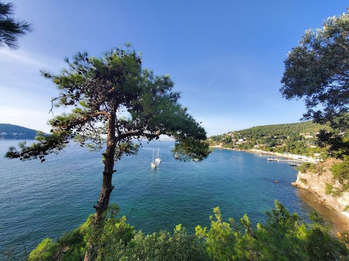 Fotoğraf 34