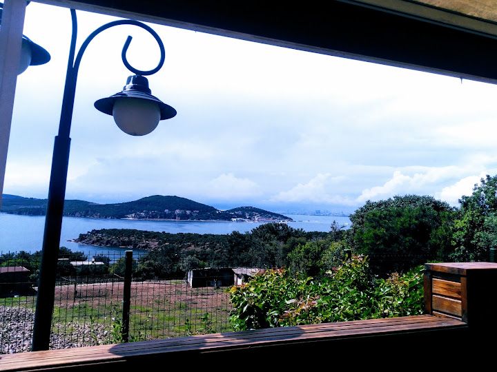 Fotoğraf 43