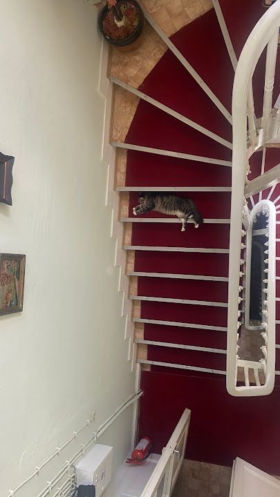 Fotoğraf 23
