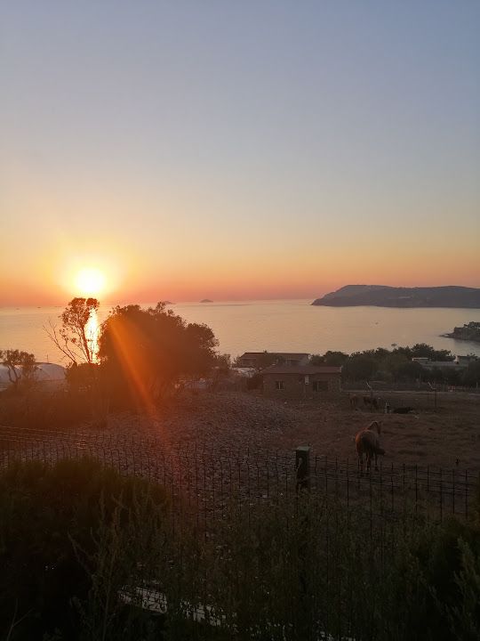 Fotoğraf 21