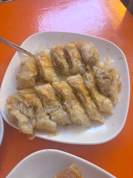 Fotoğraf 56