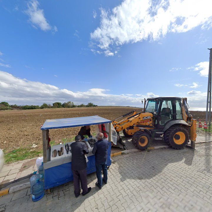 Fotoğraf 9