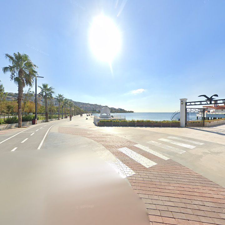 Fotoğraf 11