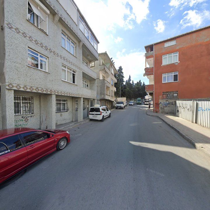 Fotoğraf 6