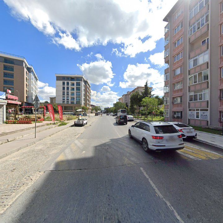 Fotoğraf 9