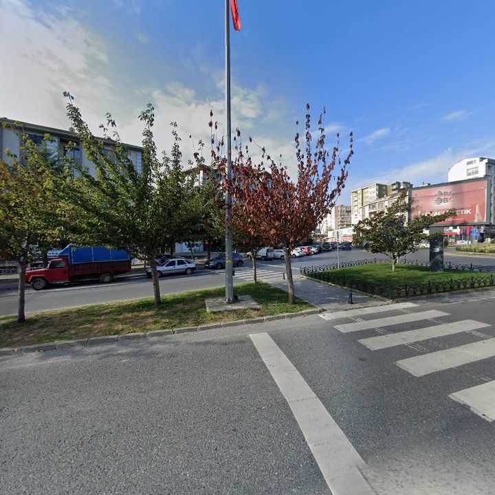 Fotoğraf 11