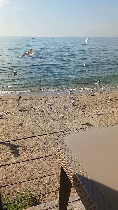 Fotoğraf 73