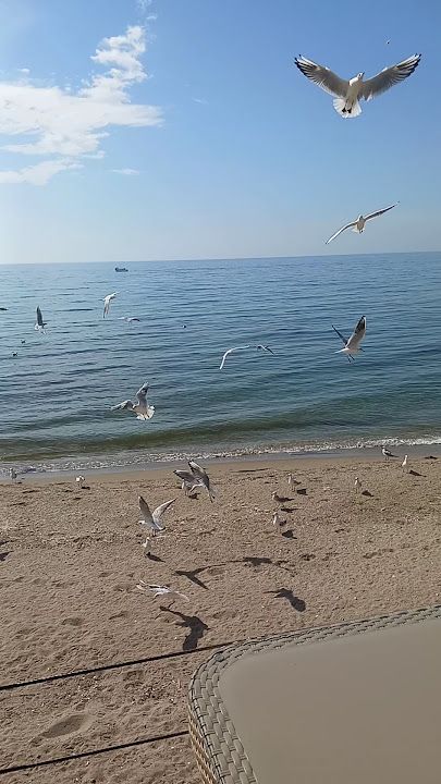 Fotoğraf 74