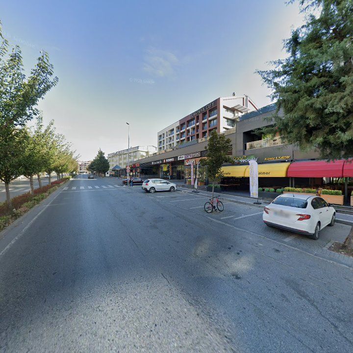 Fotoğraf 11