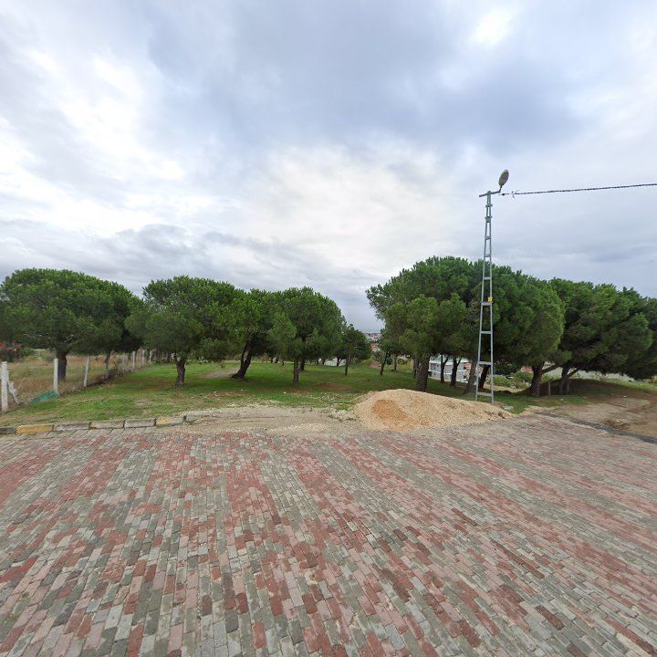 Fotoğraf 10