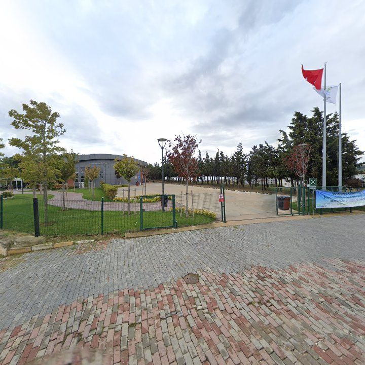 Fotoğraf 8