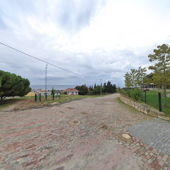 Fotoğraf 11
