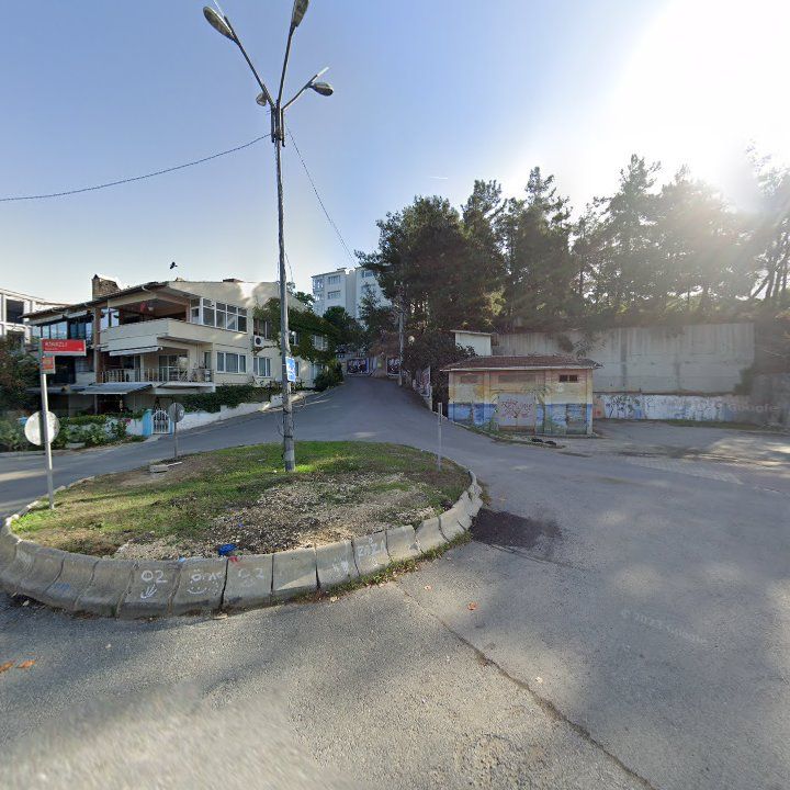 Fotoğraf 11