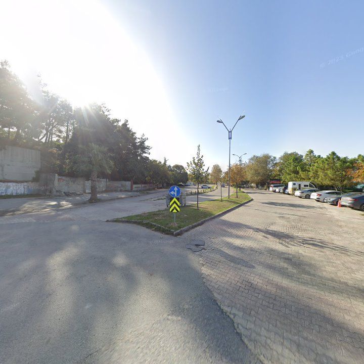 Fotoğraf 12