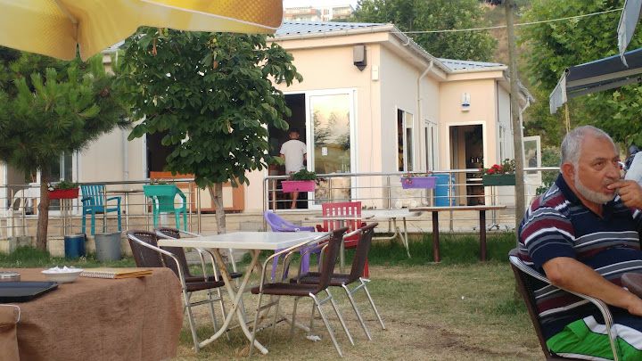 Fotoğraf 11