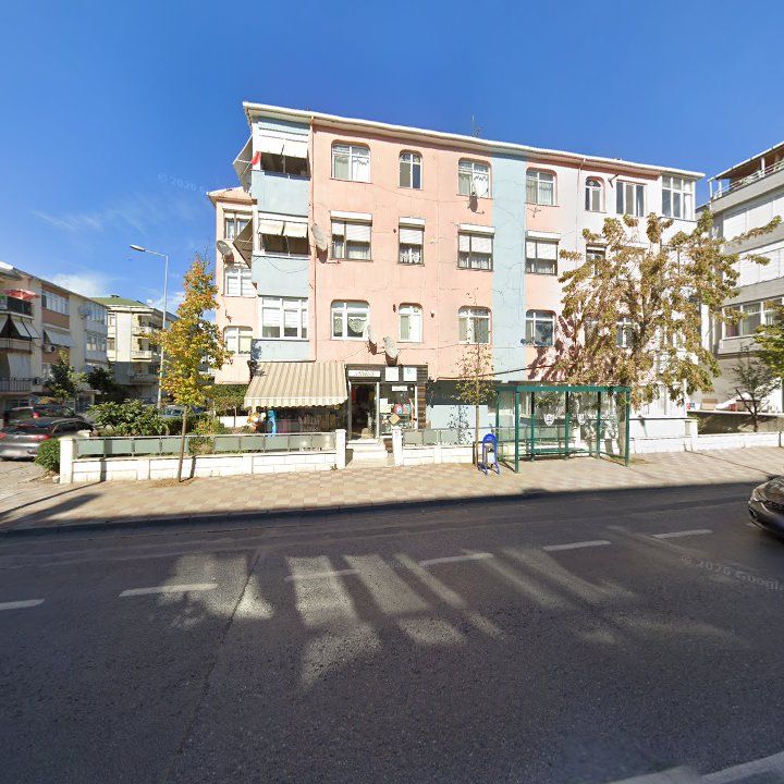 Fotoğraf 6