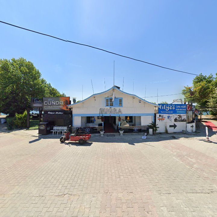 Fotoğraf 8
