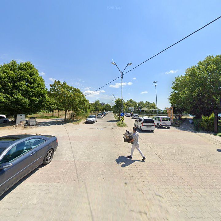 Fotoğraf 7