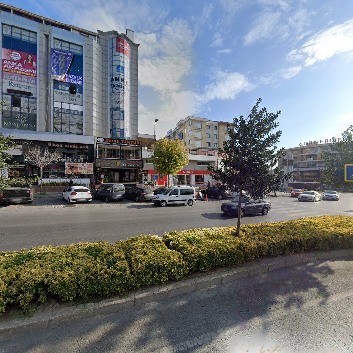 Fotoğraf 8