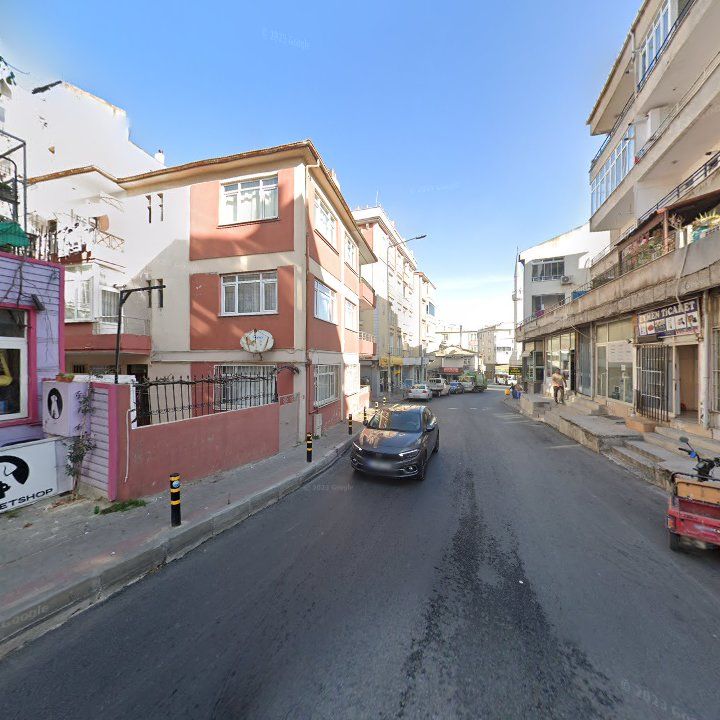 Fotoğraf 3