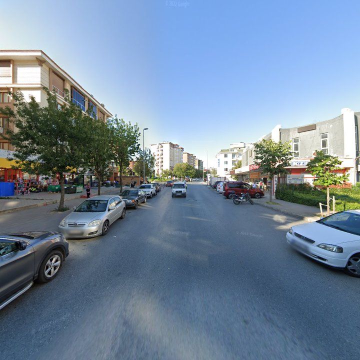 Fotoğraf 6