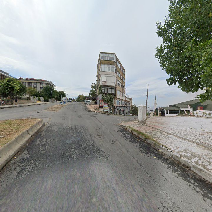Fotoğraf 11