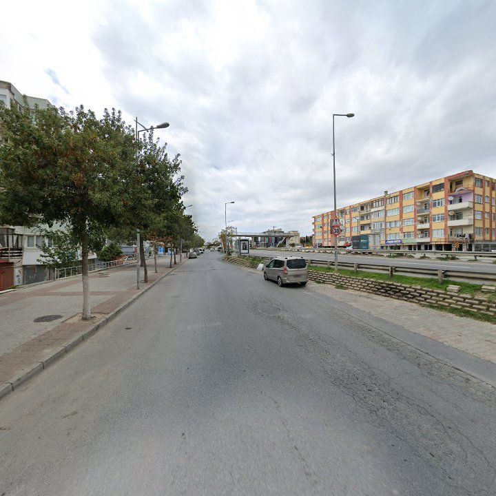 Fotoğraf 7