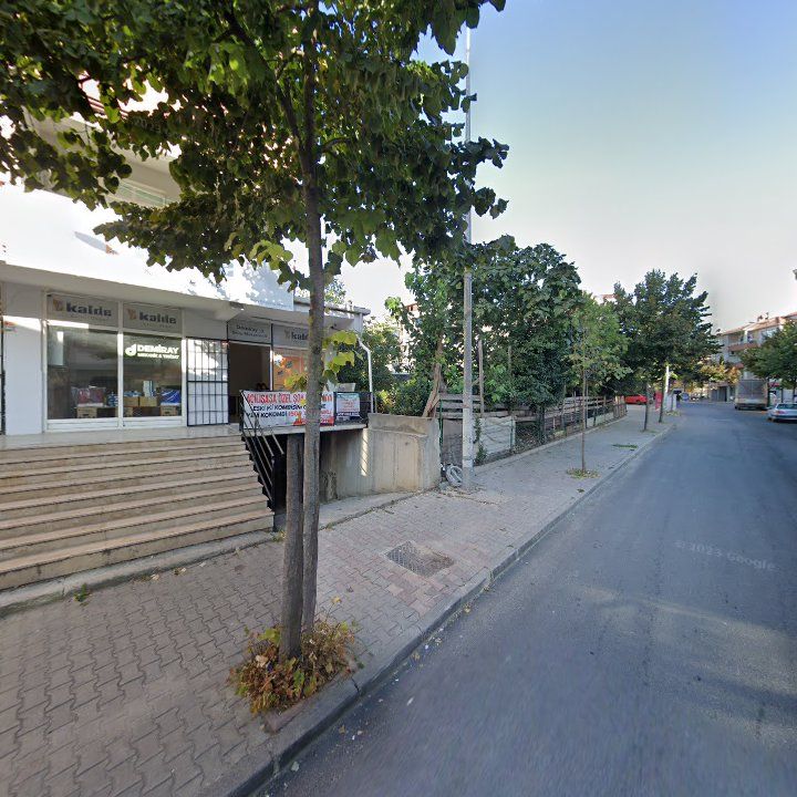 Fotoğraf 10