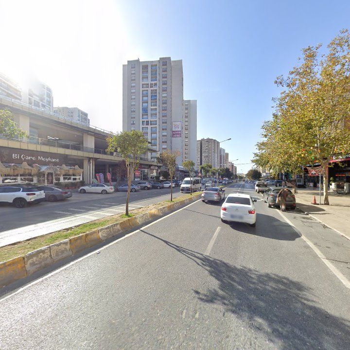 Fotoğraf 13