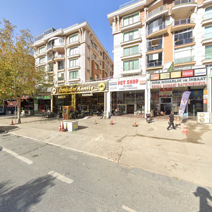 Fotoğraf 14