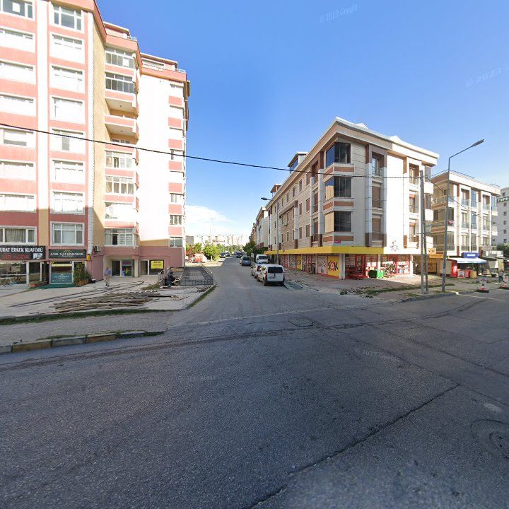 Fotoğraf 10