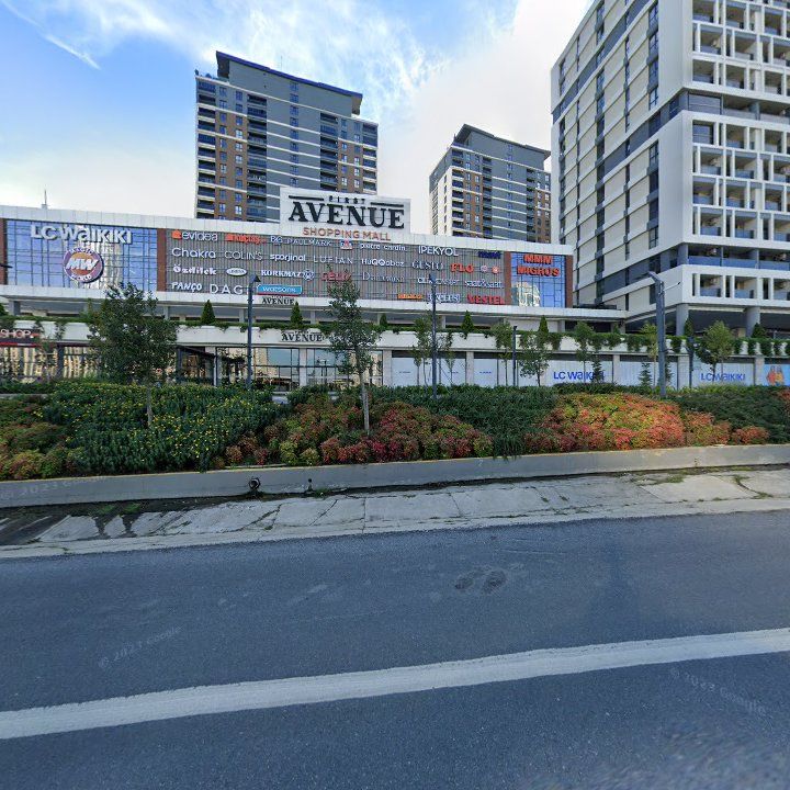 Fotoğraf 10