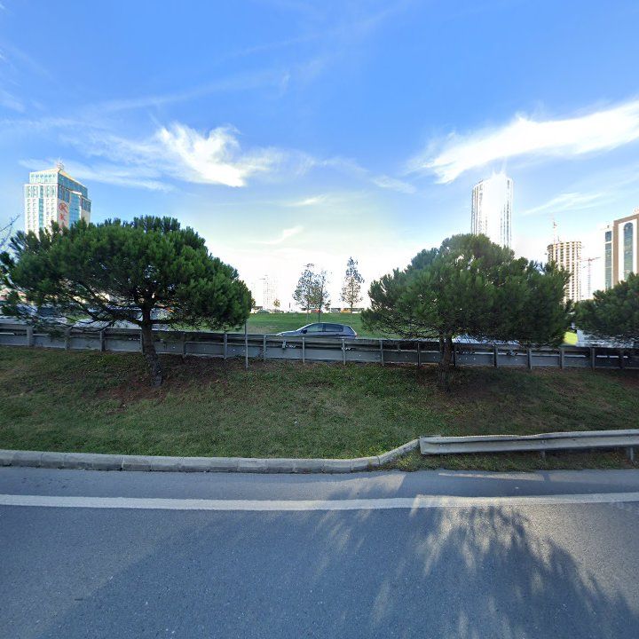 Fotoğraf 12