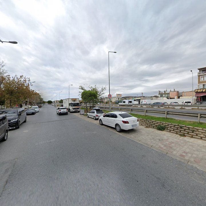 Fotoğraf 10