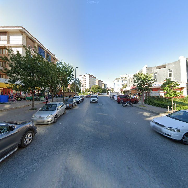 Fotoğraf 10