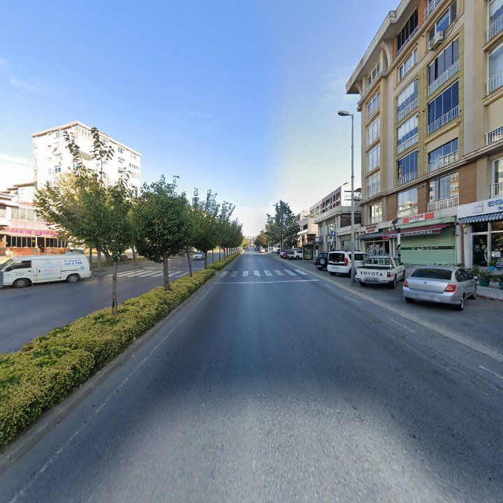 Fotoğraf 9