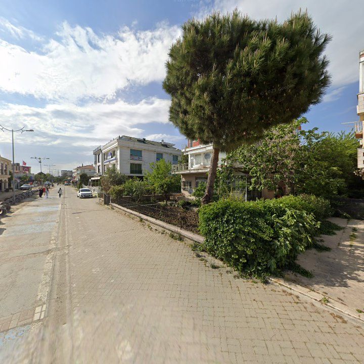 Fotoğraf 11