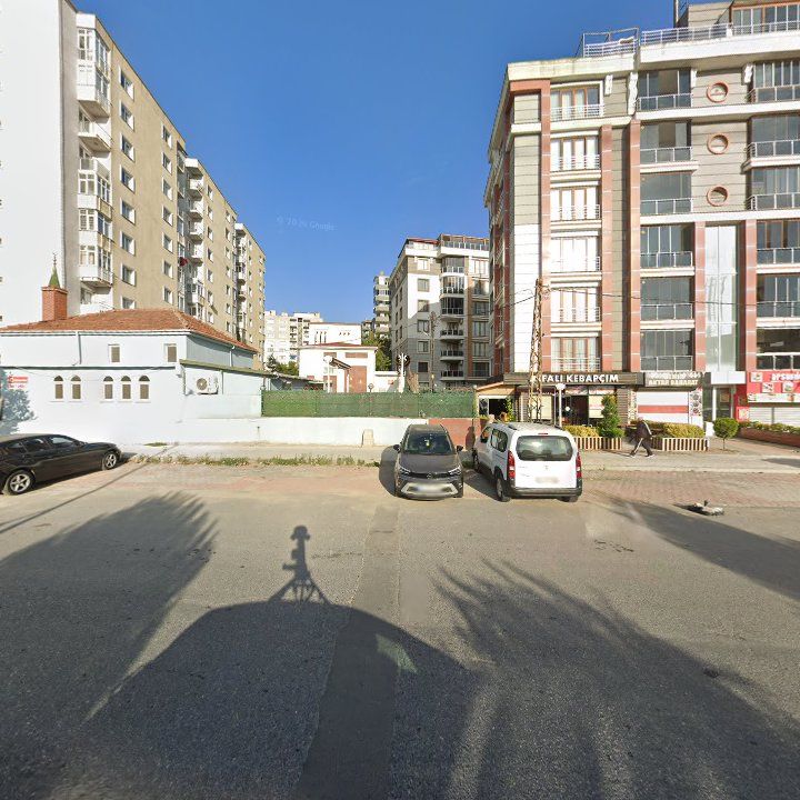 Fotoğraf 7