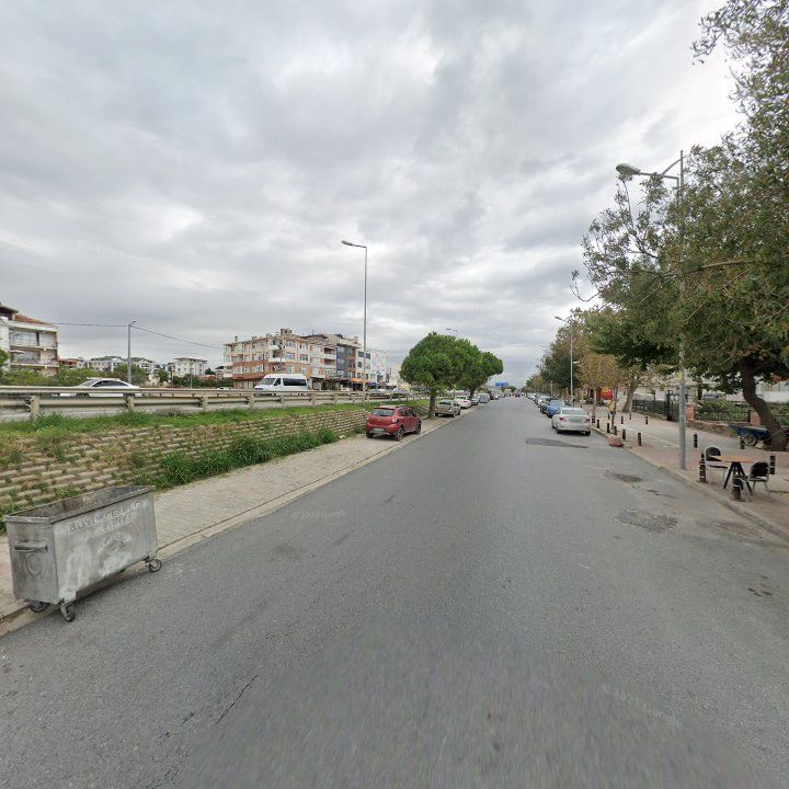 Fotoğraf 11