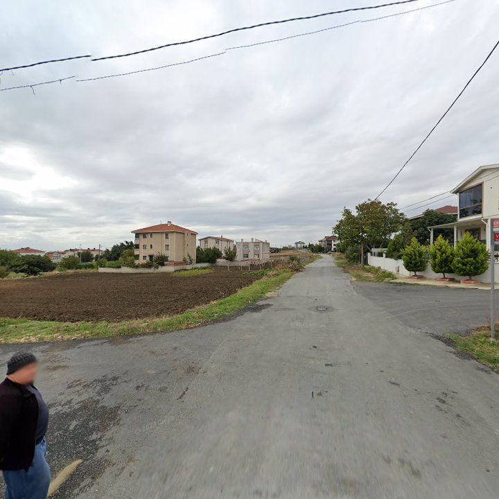 Fotoğraf 11