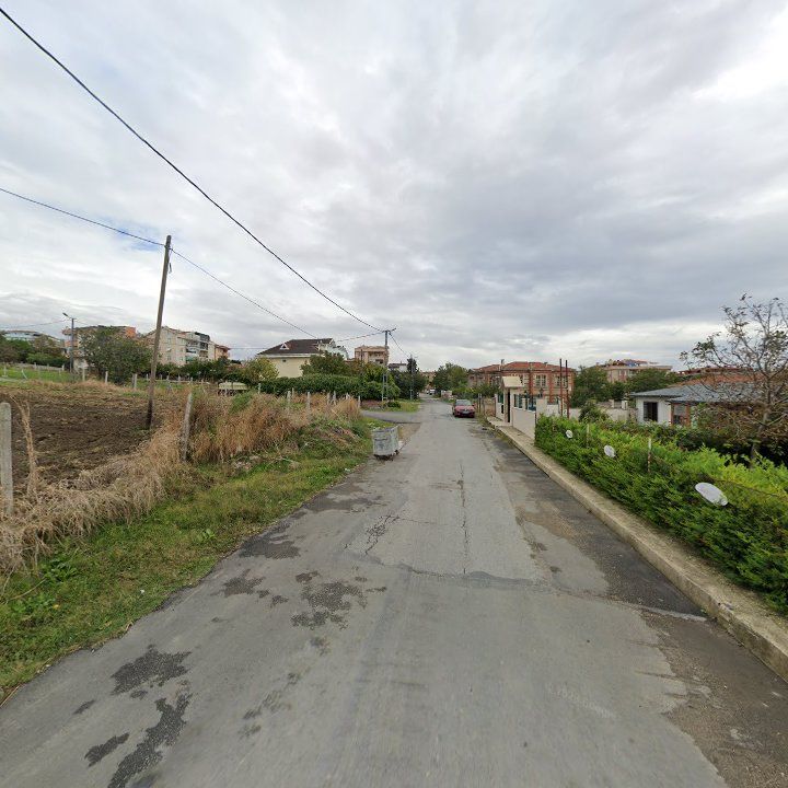 Fotoğraf 13
