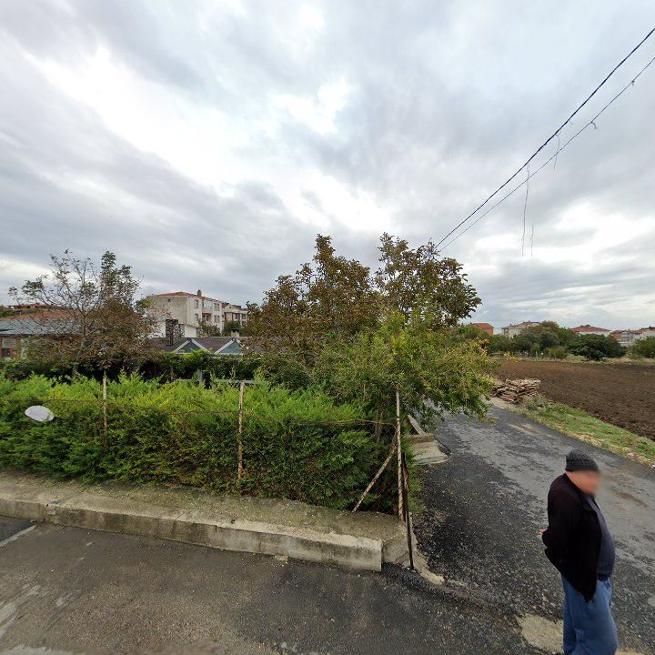 Fotoğraf 10
