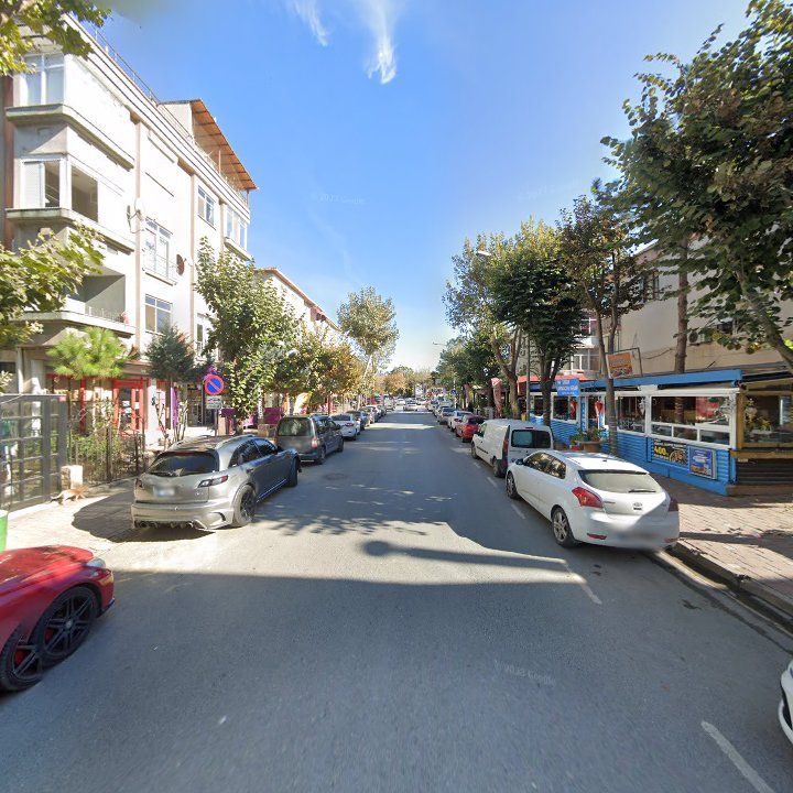 Fotoğraf 12