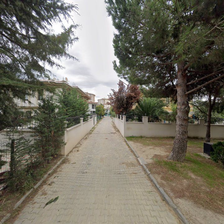 Fotoğraf 11