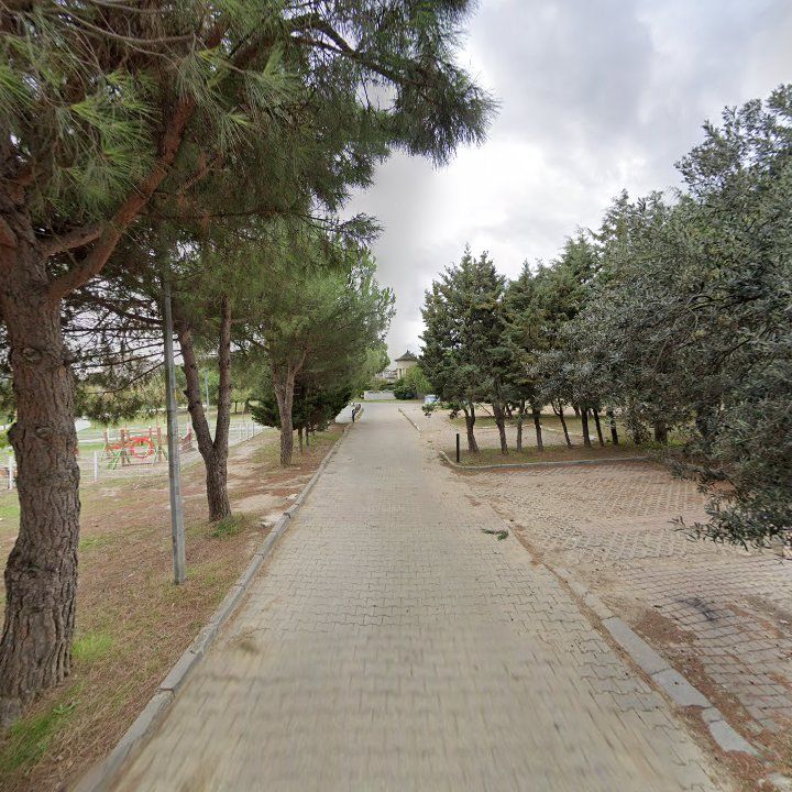 Fotoğraf 9