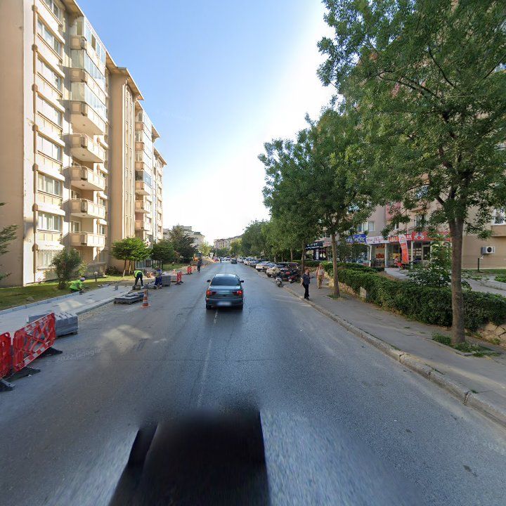 Fotoğraf 12