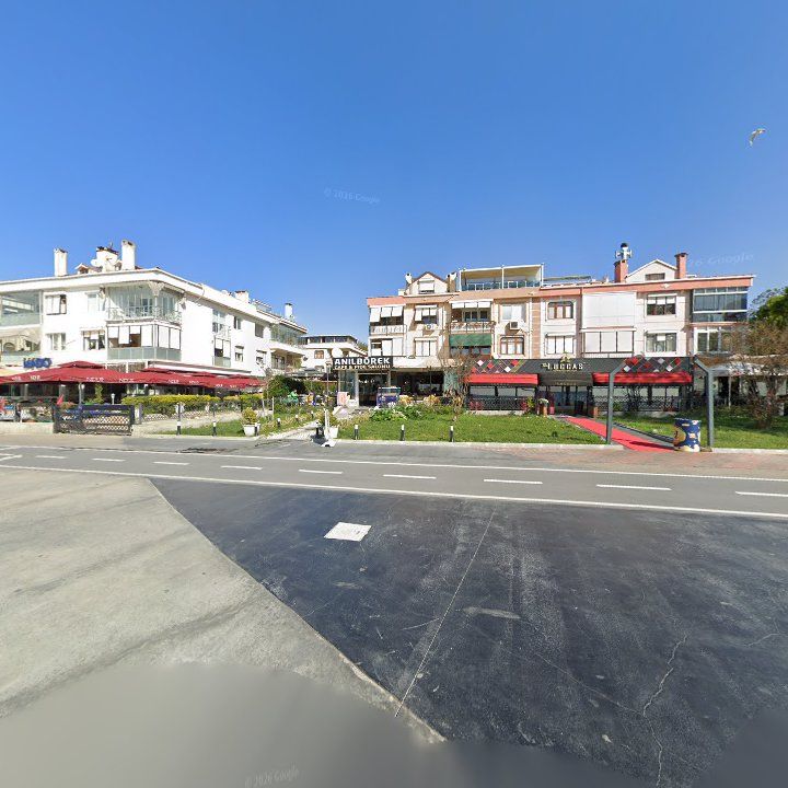 Fotoğraf 11