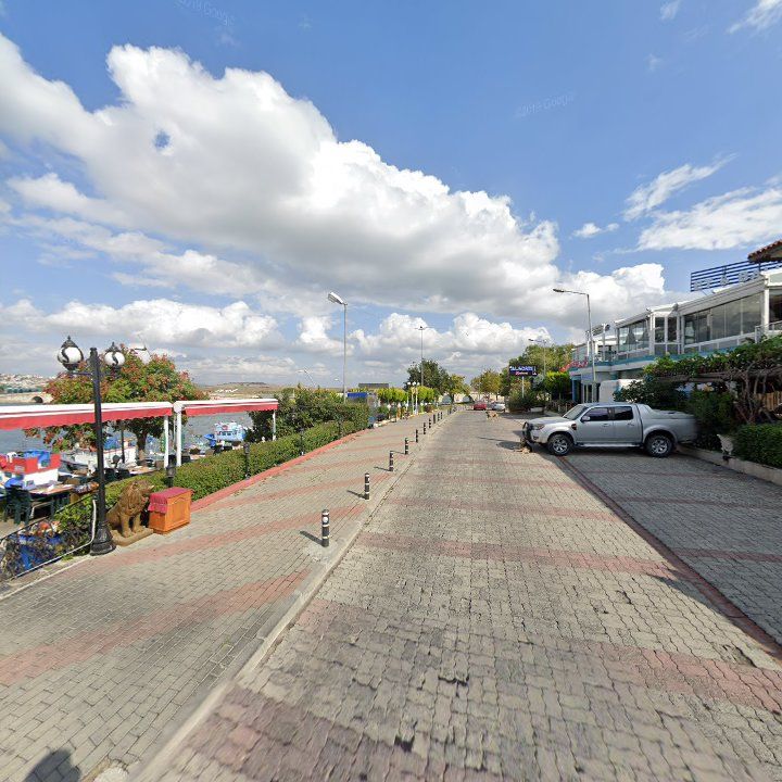 Fotoğraf 12