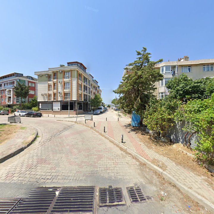 Fotoğraf 11