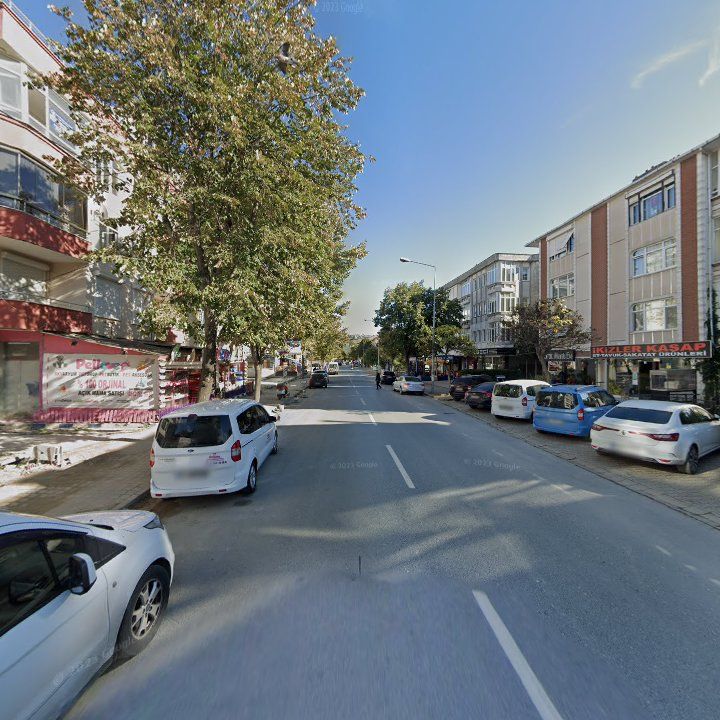 Fotoğraf 11